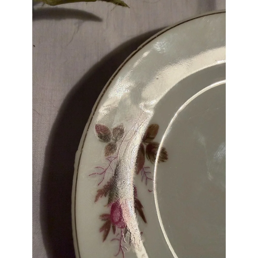 Vintage Pink Moss Rose 4